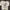 ZARA Casual T-shirt Kids cream photo 1