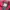 Japanese brand Vintage Streetwear Windbreaker Pria red photo 3