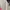 Justice Sportswear Casual T-shirt Kids cream photo 3