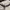 Justice Sportswear Casual T-shirt Kids cream photo 4
