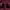 Casual Puffer jacket Wanita burgundy photo 6