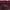 Casual Puffer jacket Wanita burgundy photo 3