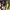 Justice Sportswear Legging Kids black photo 4