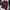 GAP Streetwear Hoody Pria burgundy photo 3
