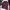 GAP Streetwear Hoody Pria burgundy photo 1