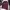 GAP Streetwear Hoody Pria Burgundy