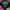 MLB Streetwear Skater Hat Pria Green Black