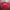 Streetwear Y2K T-shirt Pria red photo 1