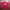 Streetwear Y2K T-shirt Pria Red