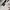 Adidas Sportswear Jersey Pria white red photo 4