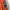 Adidas Vintage Streetwear Sweatshirt Pria orange gray photo 5