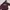 Nike Vintage Leather jacket Pria burgundy photo 1