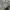 Seiko Vintage Casual Watch Pria navy gray photo 3