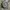 Seiko Vintage Casual Watch Pria navy gray photo 4