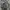 Seiko Vintage Casual Watch Pria navy gray photo 5
