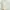 BROKEN WHITE KNIT OVERSIZE TURTLENECK (GU