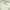 BROKEN WHITE KNIT OVERSIZE TURTLENECK (GU photo 3