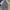 Nike Gorpcore Casual Jersey Pria Gray