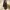 Louis Vuitton Luxury Crossbody Bag Wanita brown photo 5