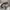 New Era Luxury Casual Hat Pria white photo 5