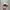 New Era Luxury Casual Hat Pria white photo 3
