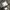 Moncler Vintage Streetwear Parka Pria tan photo 7