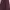 Volcom Vintage Blazer Pria burgundy photo 1
