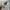 New Balance Y2K Casual Puffer jacket Pria white photo 2