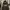 The North Face Luxury Casual Hoody Pria Brown