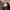 The North Face Luxury Casual Hoody Pria brown photo 5