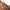 Vintage Casual Pria brown photo 4