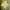 Casual T-shirt Pria yellow photo 2