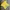 Casual T-shirt Pria Yellow