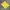 Casual T-shirt Pria Yellow