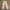 Buzz Ricksons Casual Pria khaki photo 1