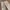 Buzz Ricksons Casual Pria khaki photo 8