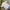 Casual Formal shirt Pria white gray photo 2