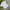 Casual Polo shirt Pria white photo 4