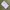 Casual Polo shirt Pria white photo 1
