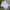Casual Polo shirt Pria white photo 2
