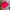 Casual Short Pria red photo 3