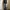 ZARA Streetwear Jeans Pria multicolor photo 7