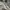 Adidas Y2K Sportswear Tracksuit Pria white red photo 3