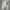 Adidas Y2K Sportswear Tracksuit Pria white red photo 1