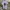 Nike Streetwear Casual T-shirt Pria white photo 1