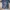 Vintage Jersey Pria white blue photo 2