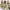Vintage Fairy Babydoll dress Wanita khaki cream photo 2