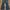 Japanese brand Vintage Streetwear Flare pants Wanita blue photo 6
