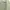 Vintage Grunge Harrington jacket Pria green gray photo 5