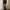 Streetwear Jeans Pria multicolor photo 7